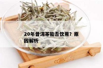 20年普洱茶能否饮用？原因解析