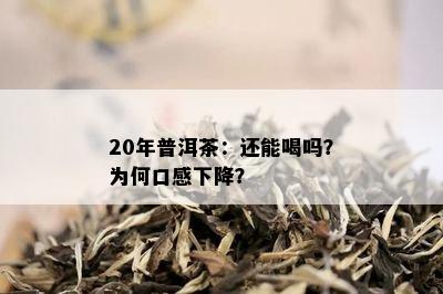 20年普洱茶：还能喝吗？为何口感下降？