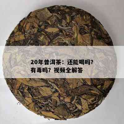 20年普洱茶：还能喝吗？有吗？视频全解答