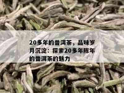 20多年的普洱茶，品味岁月沉淀：探索20多年陈年的普洱茶的魅力