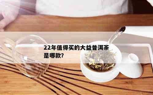 22年值得买的大益普洱茶是哪款？