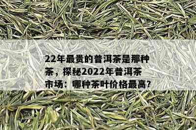 22年最贵的普洱茶是那种茶，探秘2022年普洱茶市场：哪种茶叶价格更高？