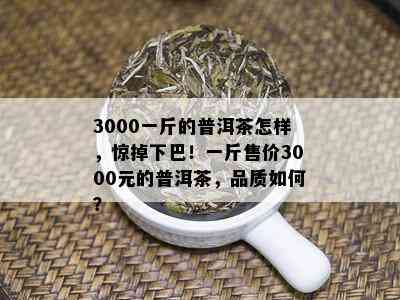 3000一斤的普洱茶怎样，惊掉下巴！一斤售价3000元的普洱茶，品质如何？