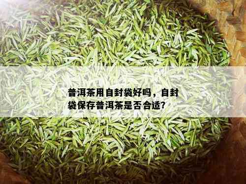 普洱茶用自封袋好吗，自封袋保存普洱茶是否合适？