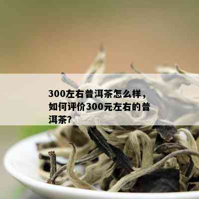 300左右普洱茶怎么样，如何评价300元左右的普洱茶？