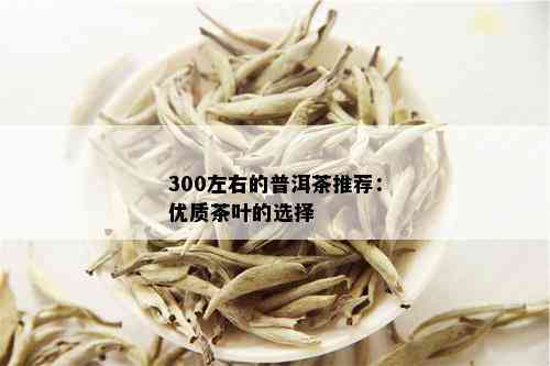 300左右的普洱茶推荐：优质茶叶的选择