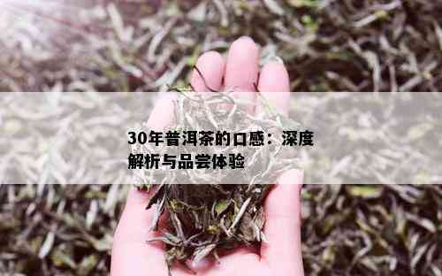 30年普洱茶的口感：深度解析与品尝体验