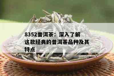 8352普洱茶：深入了解这款经典的普洱茶品种及其特点