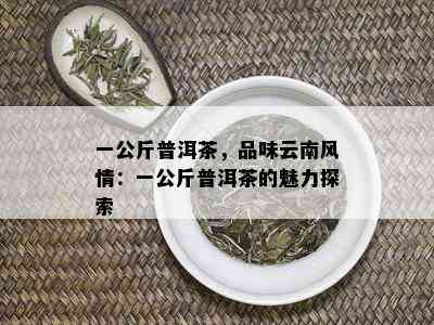 一公斤普洱茶，品味云南风情：一公斤普洱茶的魅力探索