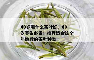 40岁喝什么茶叶好，40岁养生必备！推荐适合这个年龄段的茶叶种类