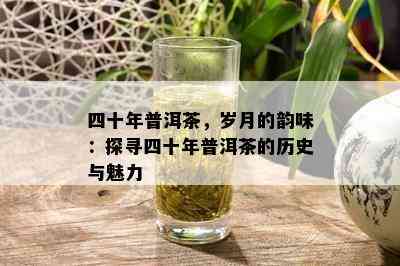 四十年普洱茶，岁月的韵味：探寻四十年普洱茶的历史与魅力