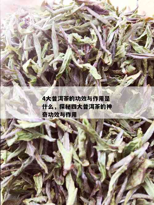 4大普洱茶的功效与作用是什么，探秘四大普洱茶的神奇功效与作用