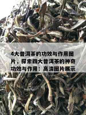 4大普洱茶的功效与作用图片，探索四大普洱茶的神奇功效与作用：高清图片展示