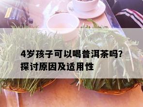 4岁孩子可以喝普洱茶吗？探讨原因及适用性