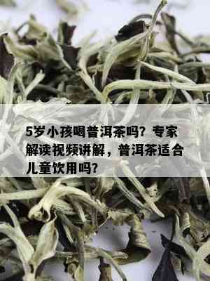 5岁小孩喝普洱茶吗？专家解读视频讲解，普洱茶适合儿童饮用吗？