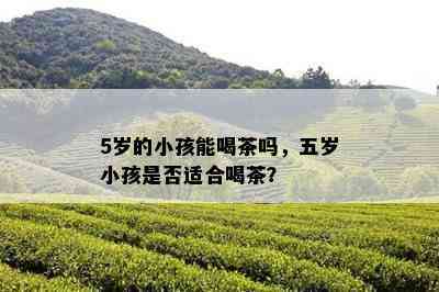 5岁的小孩能喝茶吗，五岁小孩是否适合喝茶？