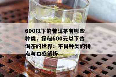 600以下的普洱茶有哪些种类，探秘600元以下普洱茶的世界：不同种类的特点与口感解析