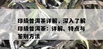 印级普洱茶详解，深入了解印级普洱茶：详解、特点与鉴别方法