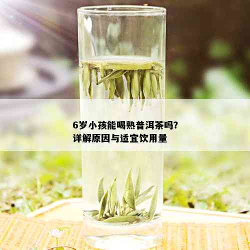 6岁小孩能喝熟普洱茶吗？详解原因与适宜饮用量