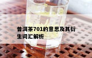 普洱茶701的意思及其衍生词汇解析