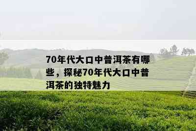 70年代大口中普洱茶有哪些，探秘70年代大口中普洱茶的独特魅力