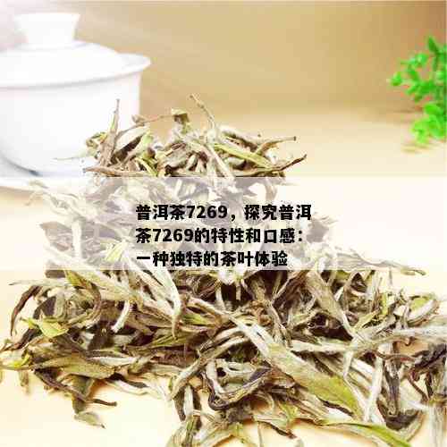 普洱茶7269，探究普洱茶7269的特性和口感：一种独特的茶叶体验