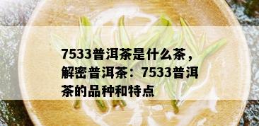 7533普洱茶是什么茶，解密普洱茶：7533普洱茶的品种和特点