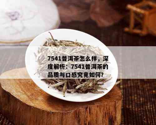 7541普洱茶怎么样，深度解析：7541普洱茶的品质与口感究竟如何？