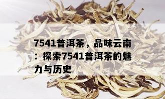 7541普洱茶，品味云南：探索7541普洱茶的魅力与历史