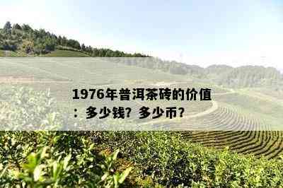 1976年普洱茶砖的价值：多少钱？多少币？