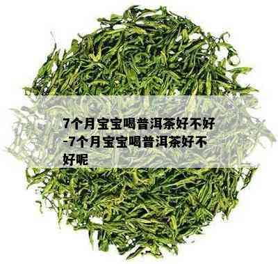 7个月宝宝喝普洱茶好不好-7个月宝宝喝普洱茶好不好呢