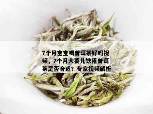 7个月宝宝喝普洱茶好吗视频，7个月大婴儿饮用普洱茶是否合适？专家视频解析