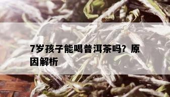 7岁孩子能喝普洱茶吗？原因解析