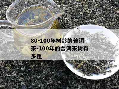 80-100年树龄的普洱茶-100年的普洱茶树有多粗