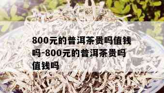 800元的普洱茶贵吗值钱吗-800元的普洱茶贵吗值钱吗