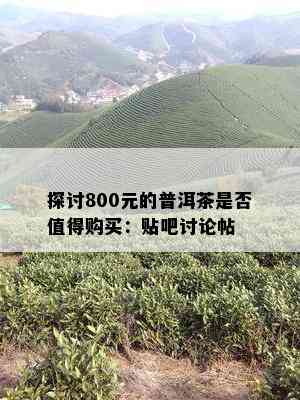 探讨800元的普洱茶是否值得购买：贴吧讨论帖