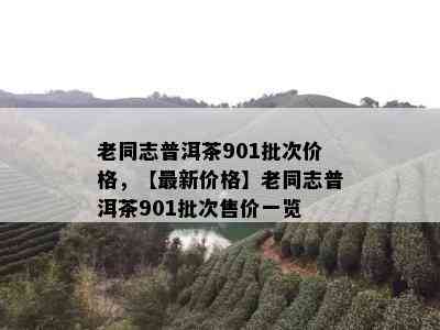 老同志普洱茶901批次价格，【最新价格】老同志普洱茶901批次售价一览