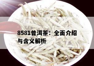 8581普洱茶：全面介绍与含义解析