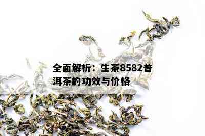 全面解析：生茶8582普洱茶的功效与价格