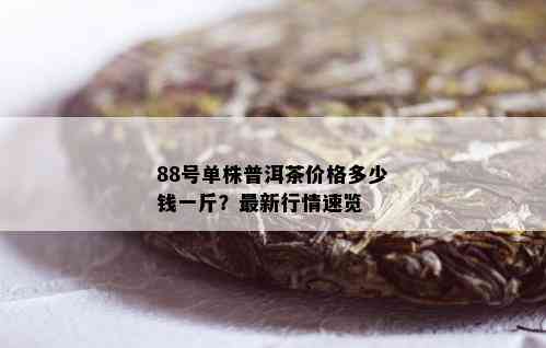 88号单株普洱茶价格多少钱一斤？最新行情速览