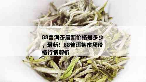 88普洱茶最新价格是多少，最新！88普洱茶市场价格行情解析