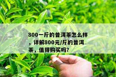 800一斤的普洱茶怎么样，详解800元/斤的普洱茶，值得购买吗？