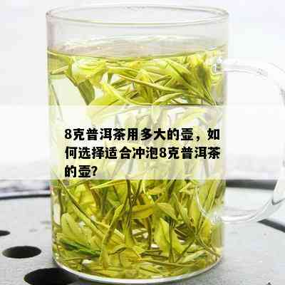 8克普洱茶用多大的壶，如何选择适合冲泡8克普洱茶的壶？