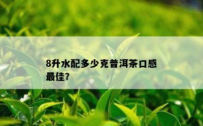 8升水配多少克普洱茶口感更佳？