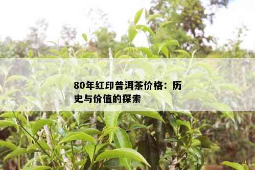 80年红印普洱茶价格：历史与价值的探索