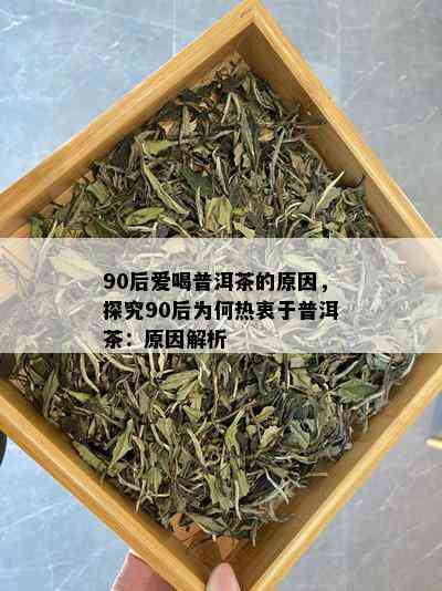 90后爱喝普洱茶的原因，探究90后为何热衷于普洱茶：原因解析