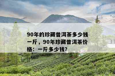 90年的珍藏普洱茶多少钱一斤，90年珍藏普洱茶价格：一斤多少钱？