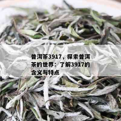 普洱茶3917，探索普洱茶的世界：了解3917的含义与特点