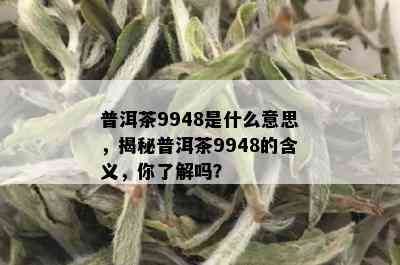 普洱茶9948是什么意思，揭秘普洱茶9948的含义，你了解吗？