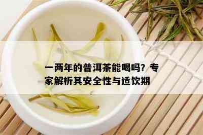 一两年的普洱茶能喝吗？专家解析其安全性与适饮期